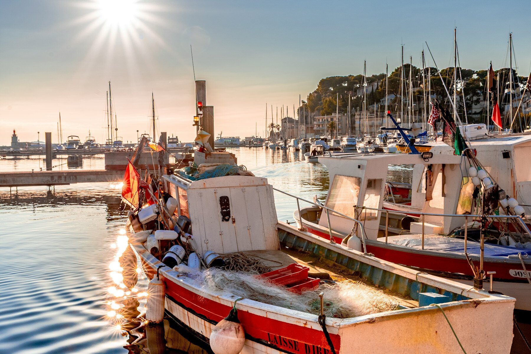 Field notes from a small harbour